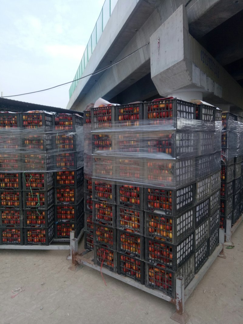 丰光精品油桃