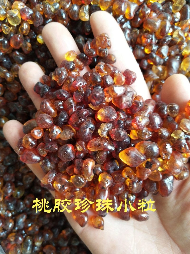 【一斤包邮】野生优质天然食用桃胶雪燕皂角米桃胶组合装