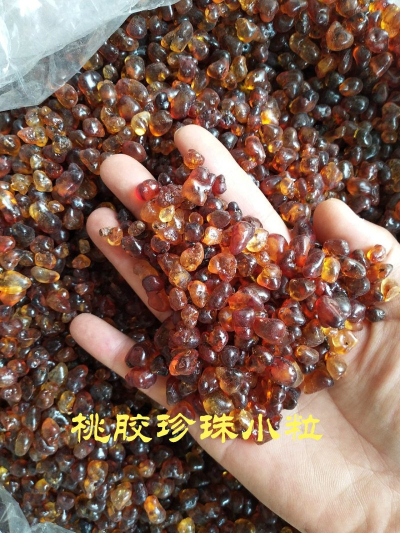 【一斤包邮】野生优质天然食用桃胶雪燕皂角米桃胶组合装