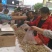 小鱼干