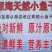 小鱼干