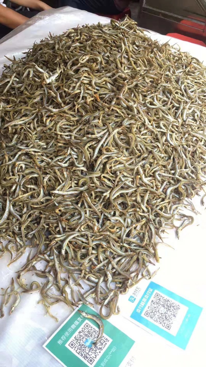 小鱼干