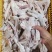 新鲜鹅掌亦大量有货全国供应