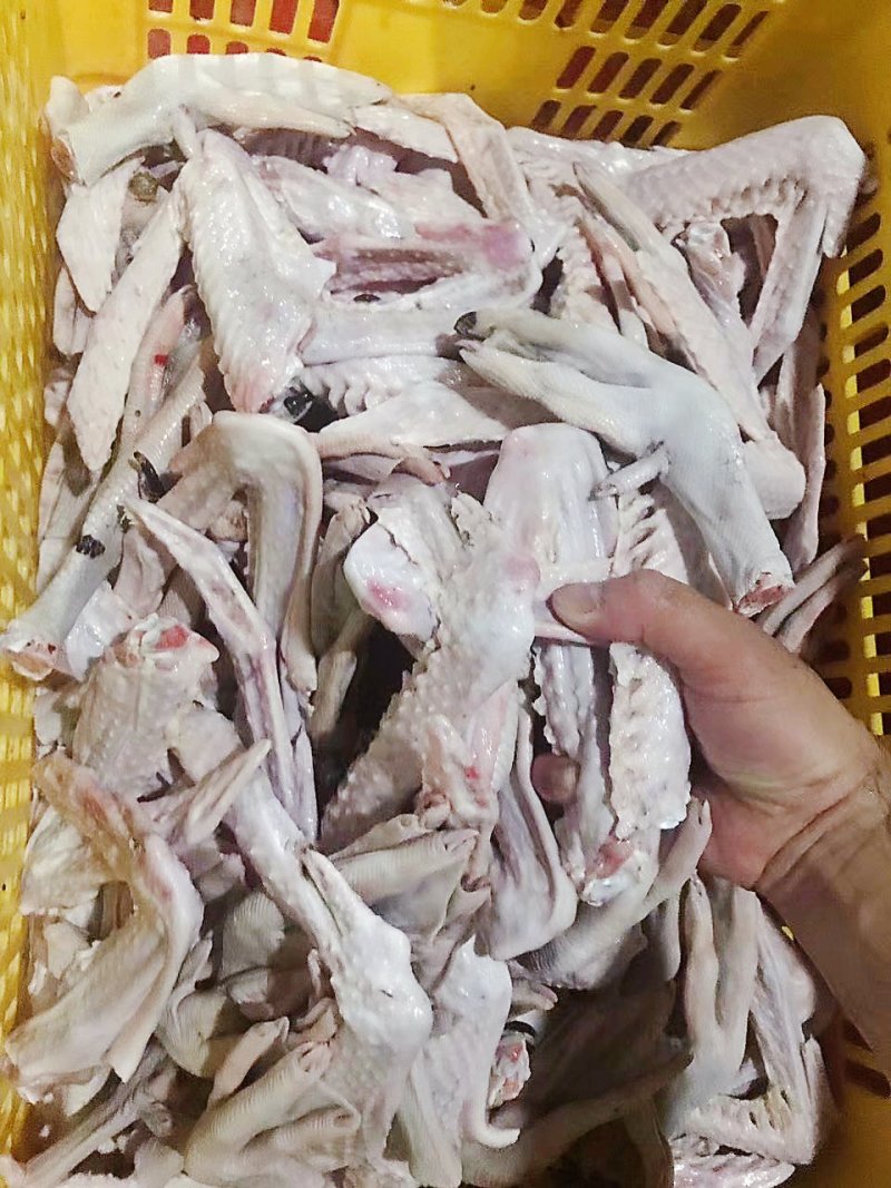 新鲜鹅掌亦大量有货全国供应