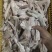 新鲜鹅掌亦大量有货全国供应