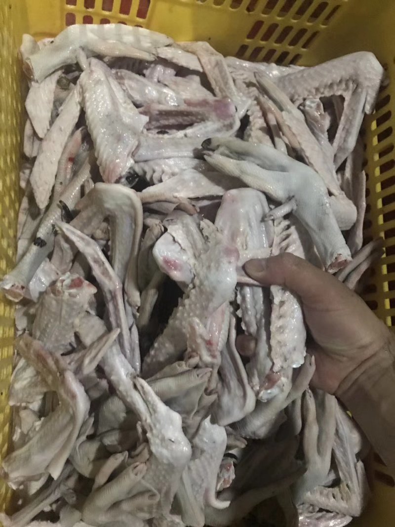 新鲜鹅掌亦大量有货全国供应