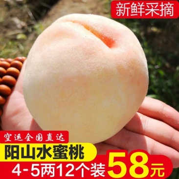 阳山水蜜桃种植基地果园直供支持预售