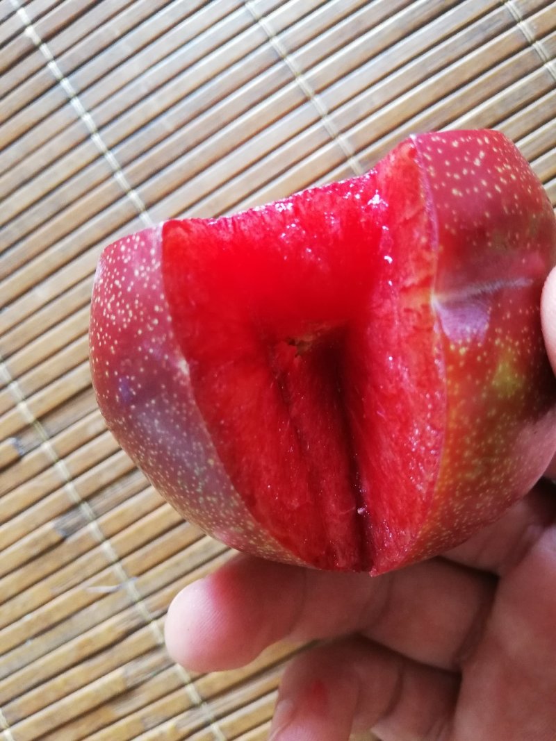 芙蓉李，味帝，青脆李，大小红宝石，万亩基地！
