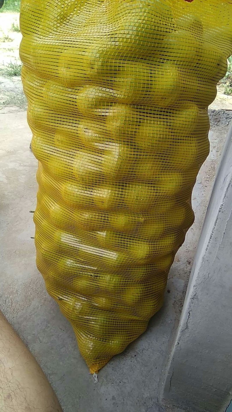 香玲核桃