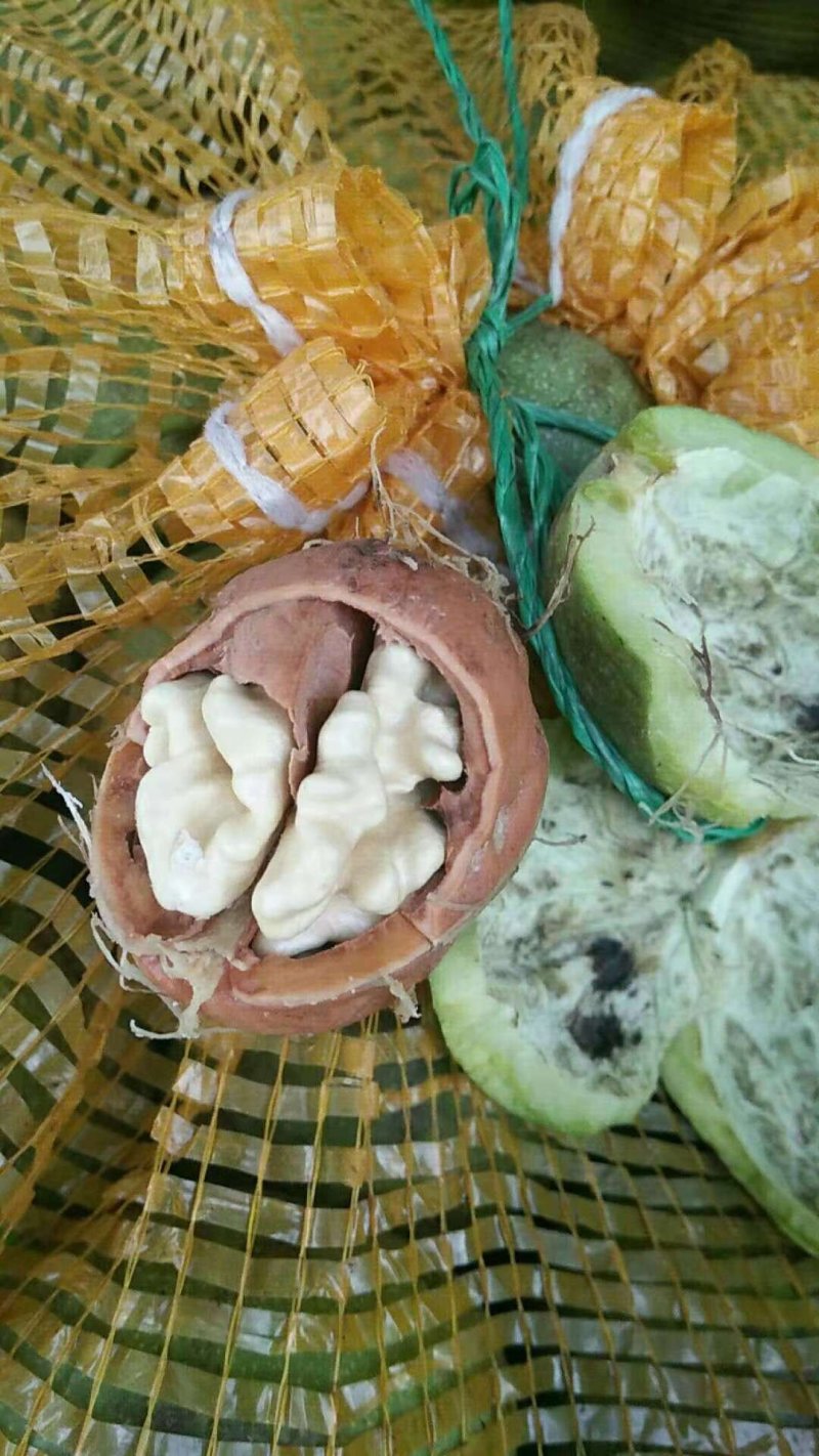 延安黄龙香玲核桃