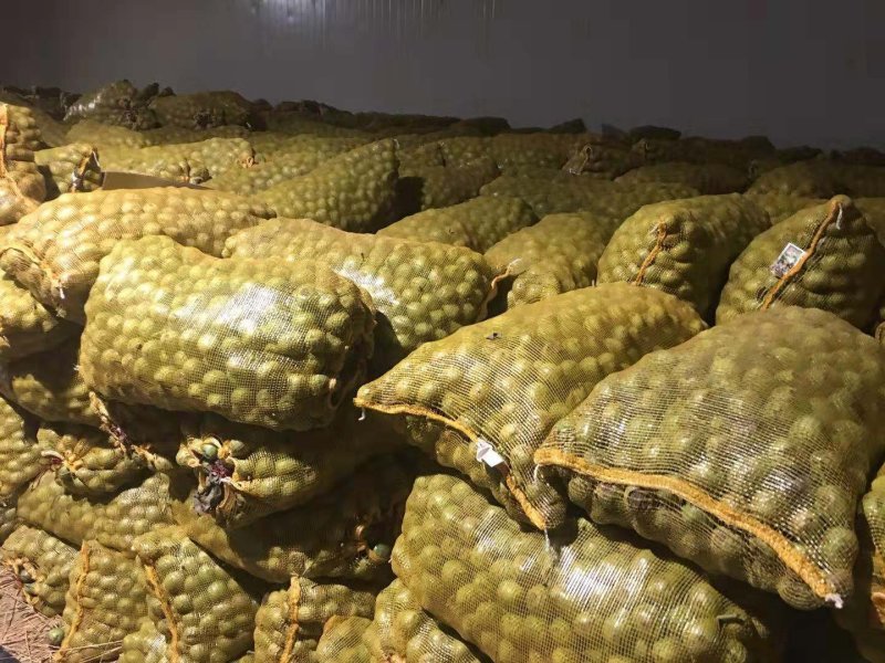 延安黄龙香玲核桃