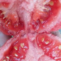口感西红柿/弧三以上/自然成熟/沙瓤汁多，甜度高【精品】