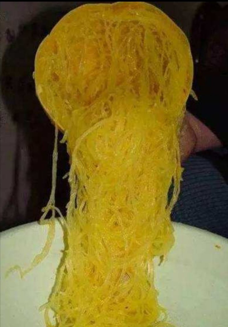 金丝绞瓜