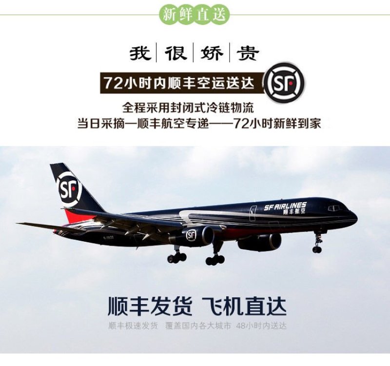 云南黑帽鸡枞