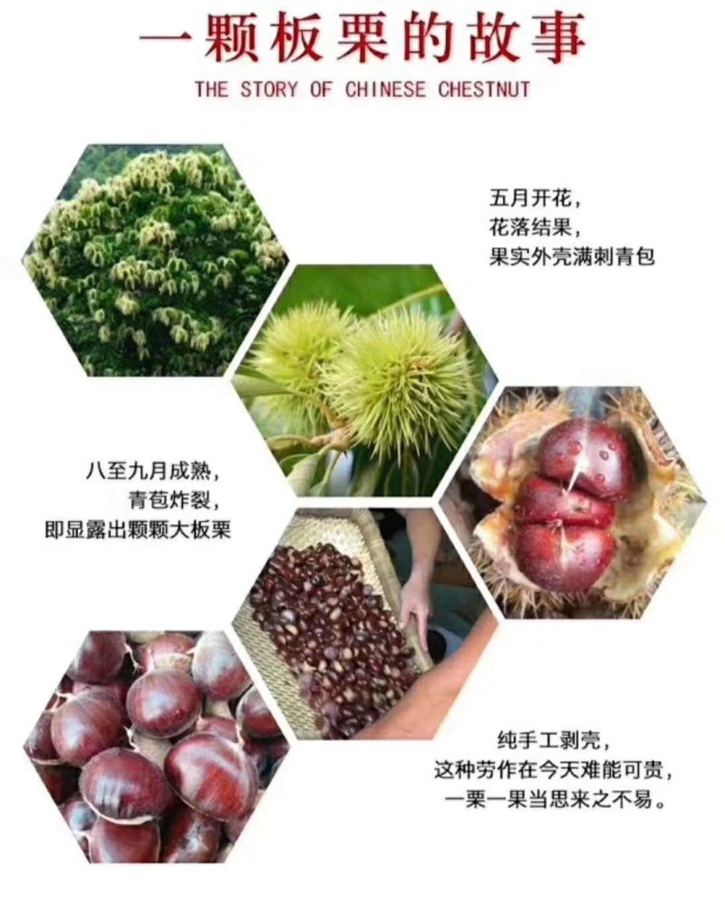 沂农特产，蜜汁板栗，量大优惠