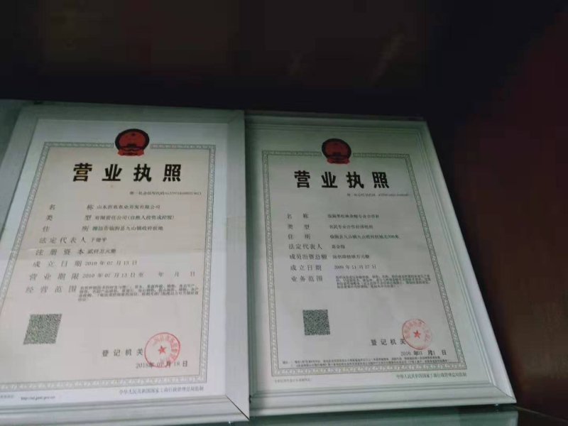 沂农特产，蜜汁板栗，量大优惠