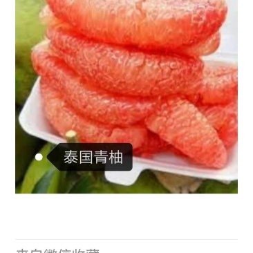 供优质青柚种苗
