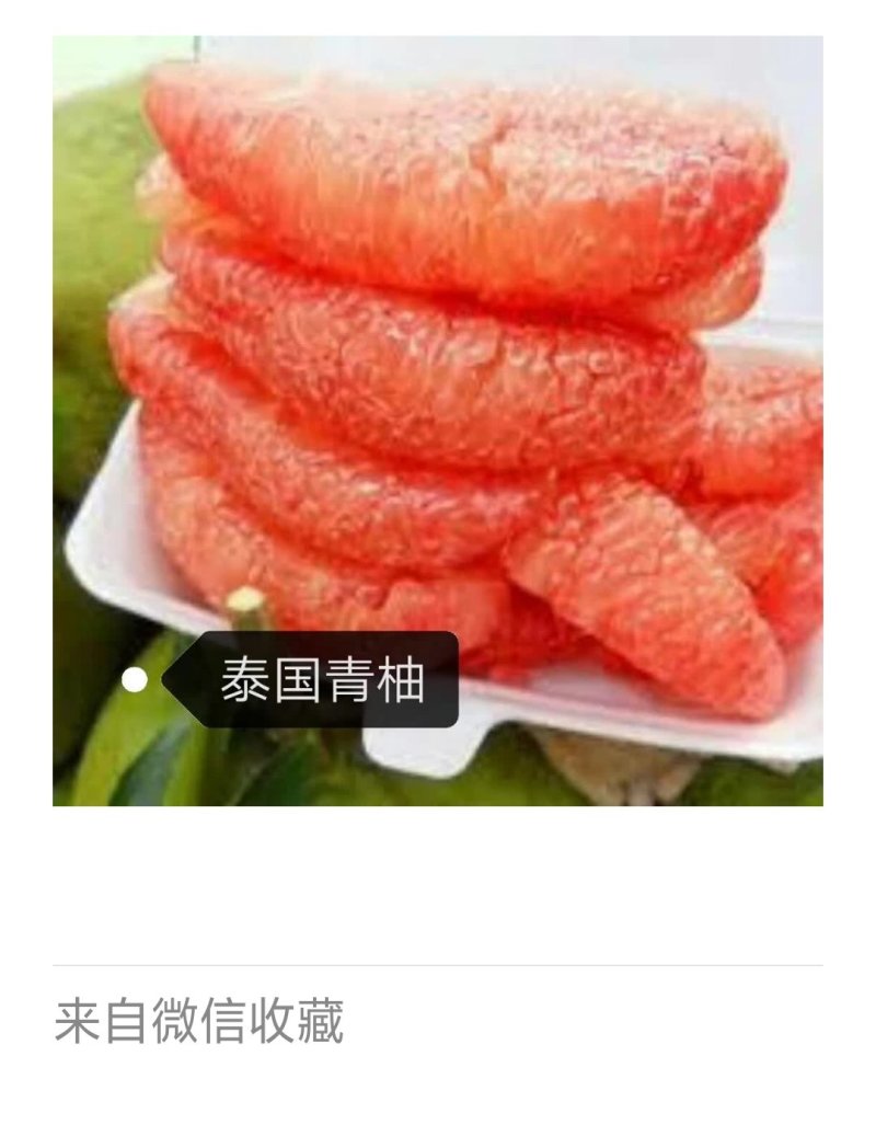 供优质青柚种苗
