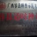 供优质青柚种苗