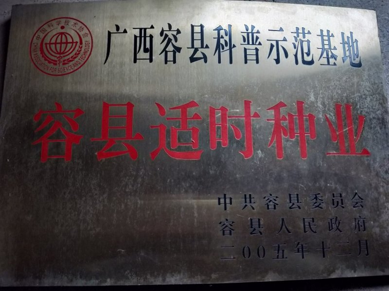供优质青柚种苗