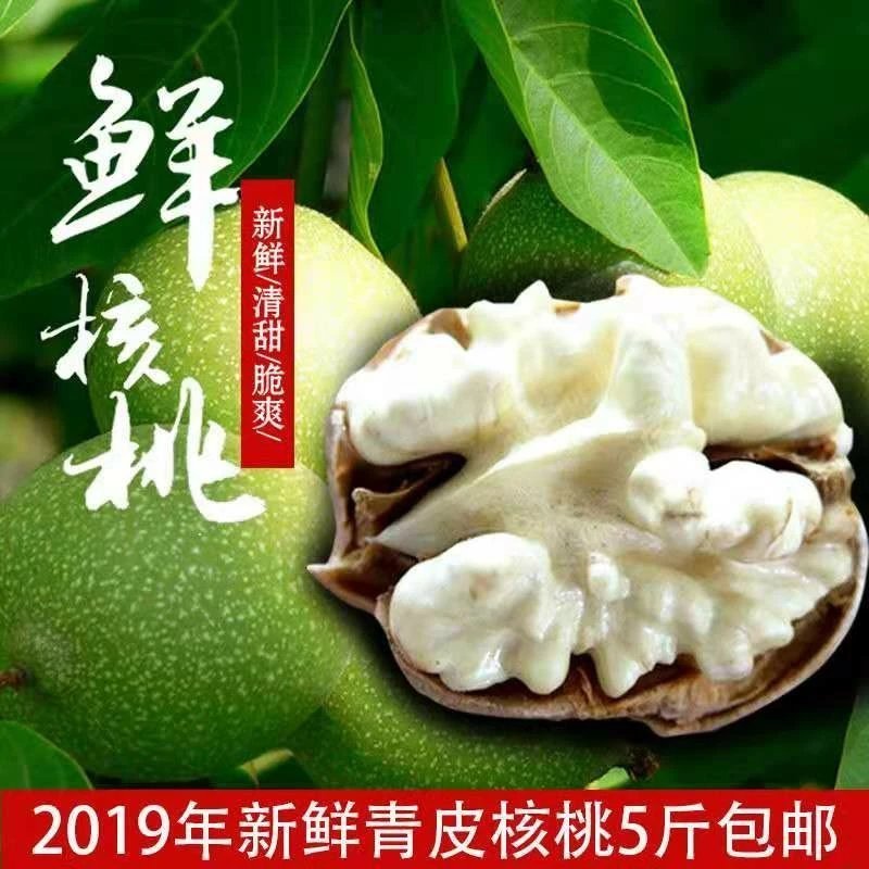 2019野生涉村农村青皮核桃