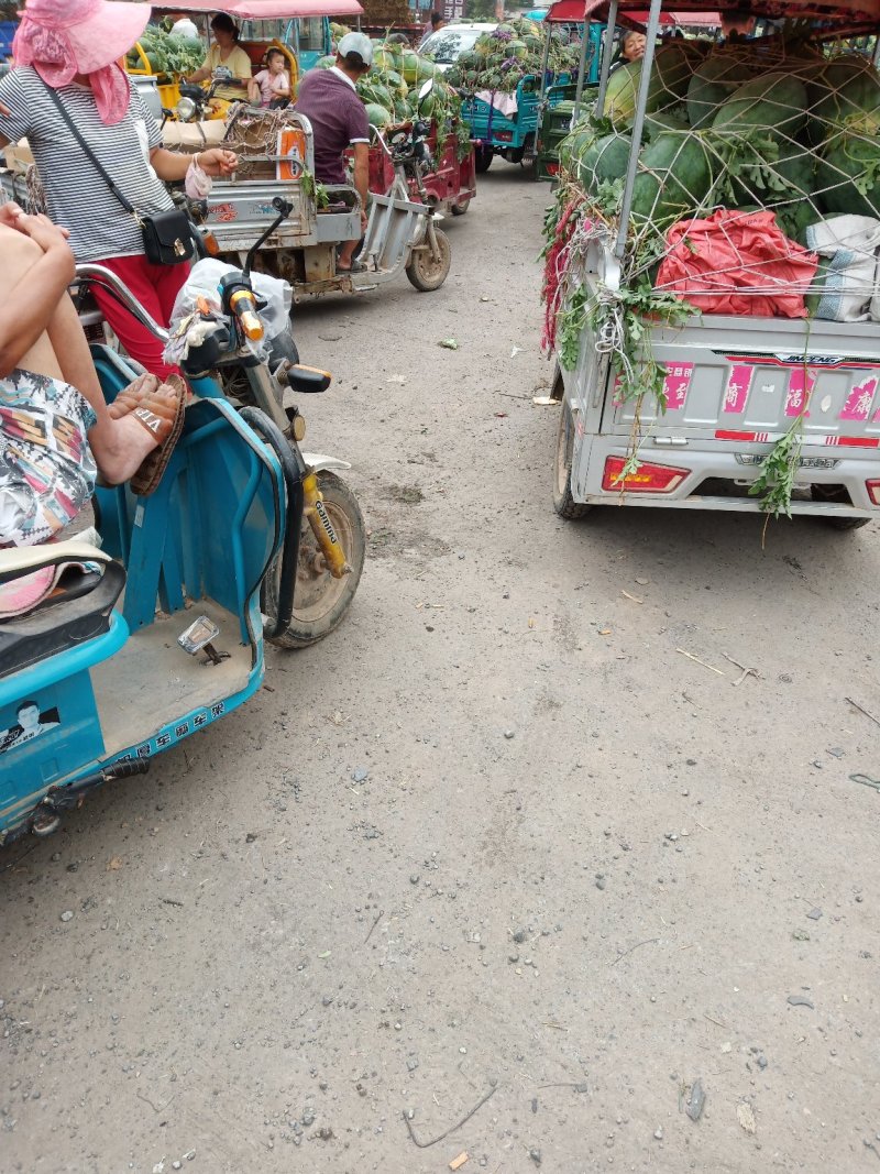 龙卷风基地货当天采摘上车，场地宽阔上货量大