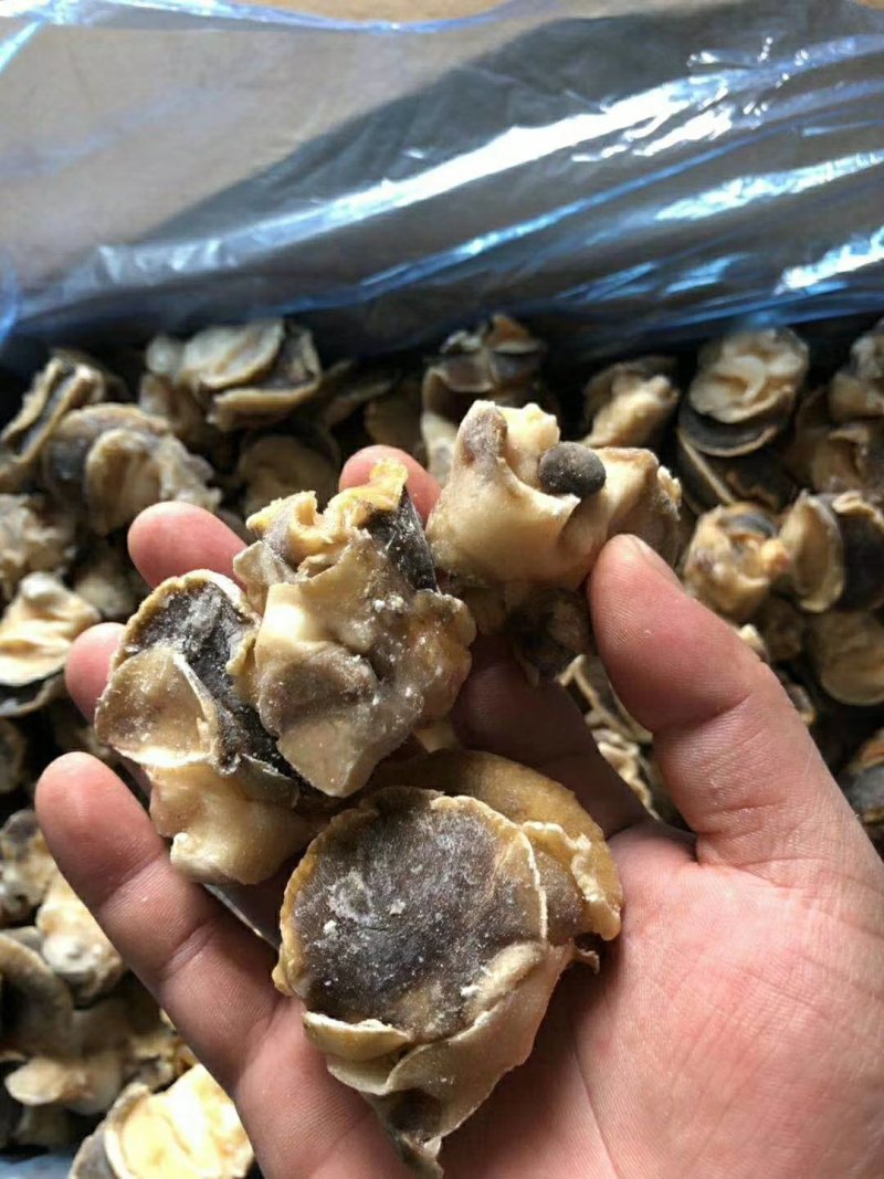 香螺肉