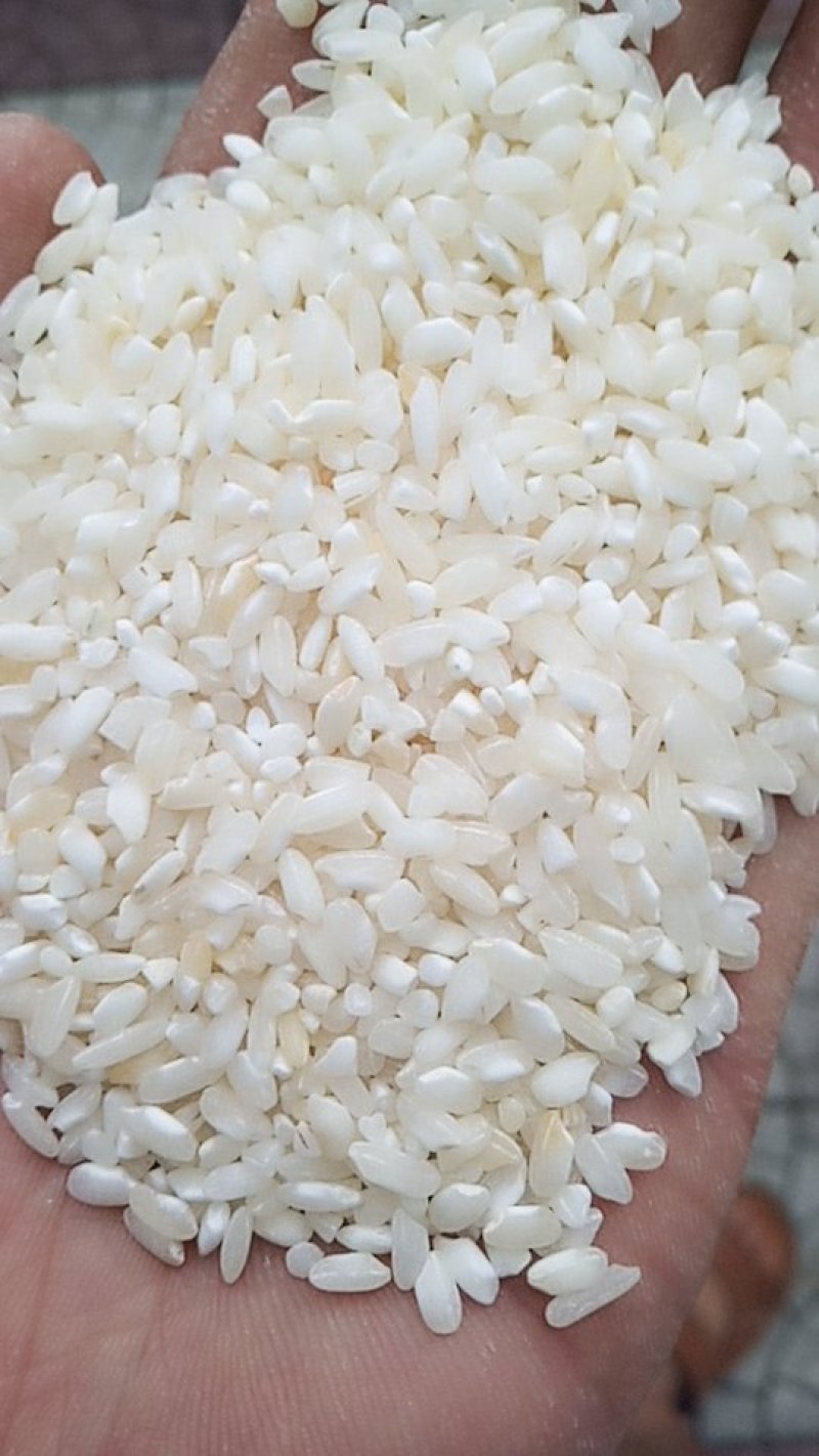 贵朝米：凉皮专用米，肠粉米，米线专用米