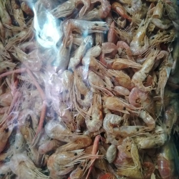 清远小河虾干