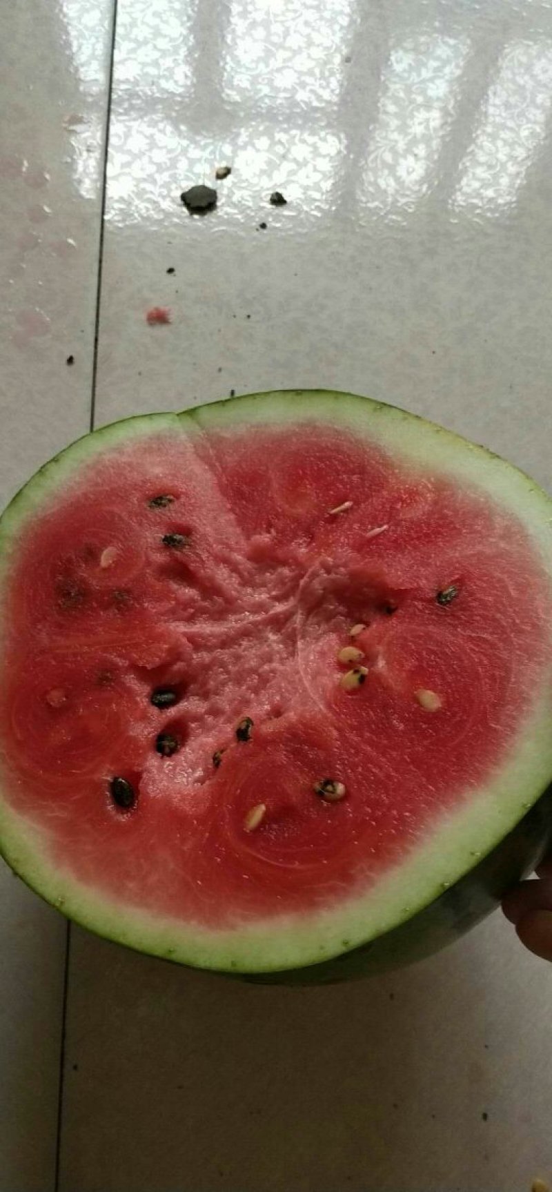 宁河西瓜保熟保甜