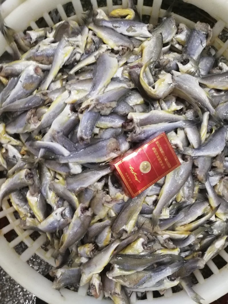 黄花鱼去头小黄花鱼黄花鱼原料小黄鱼长年加工