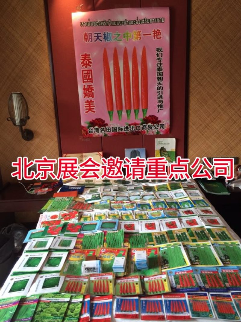 四季油麦菜种子，纯度高，叶片硬，香脆可口。