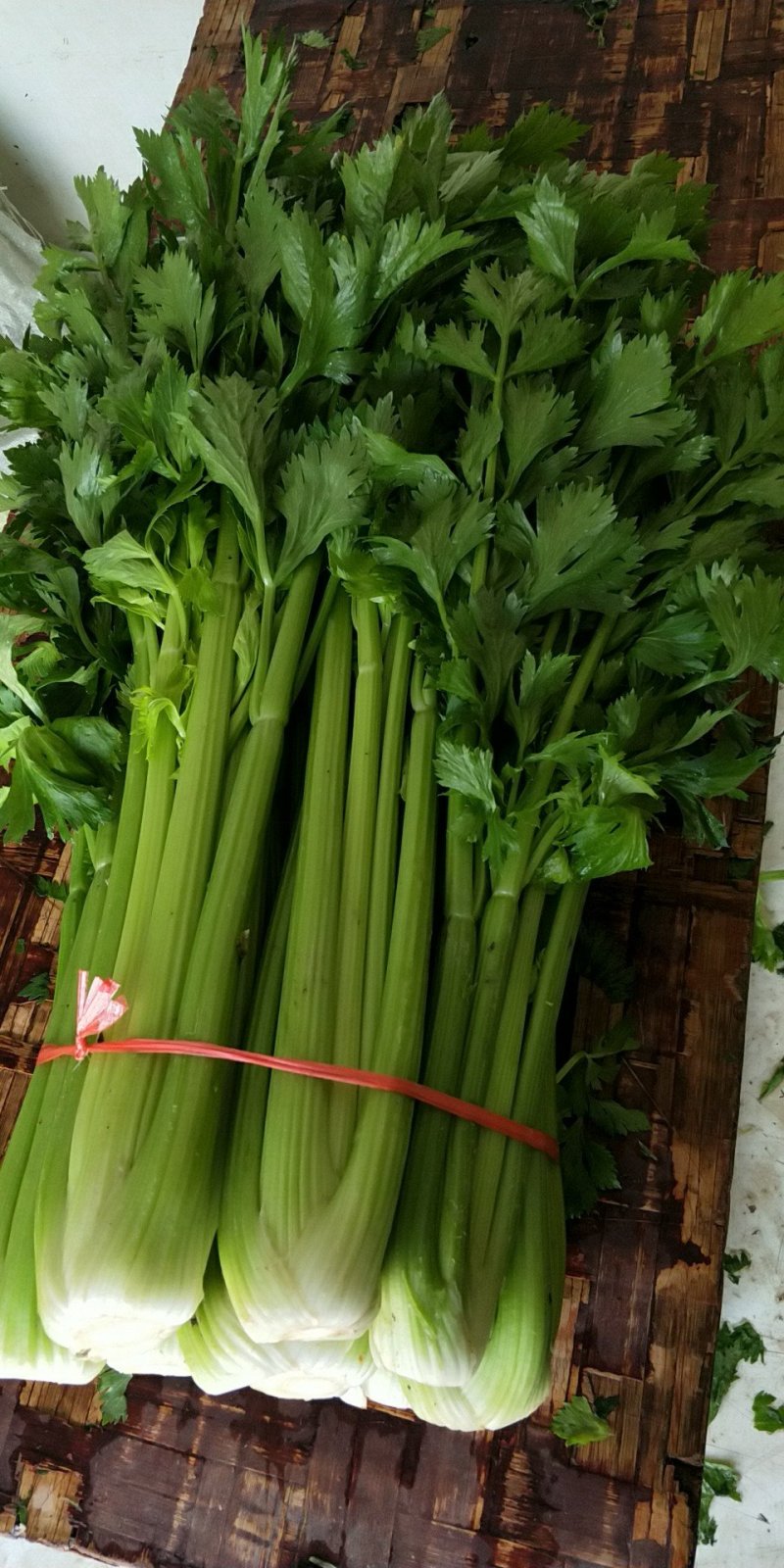 高原西芹，质量优，品质好，