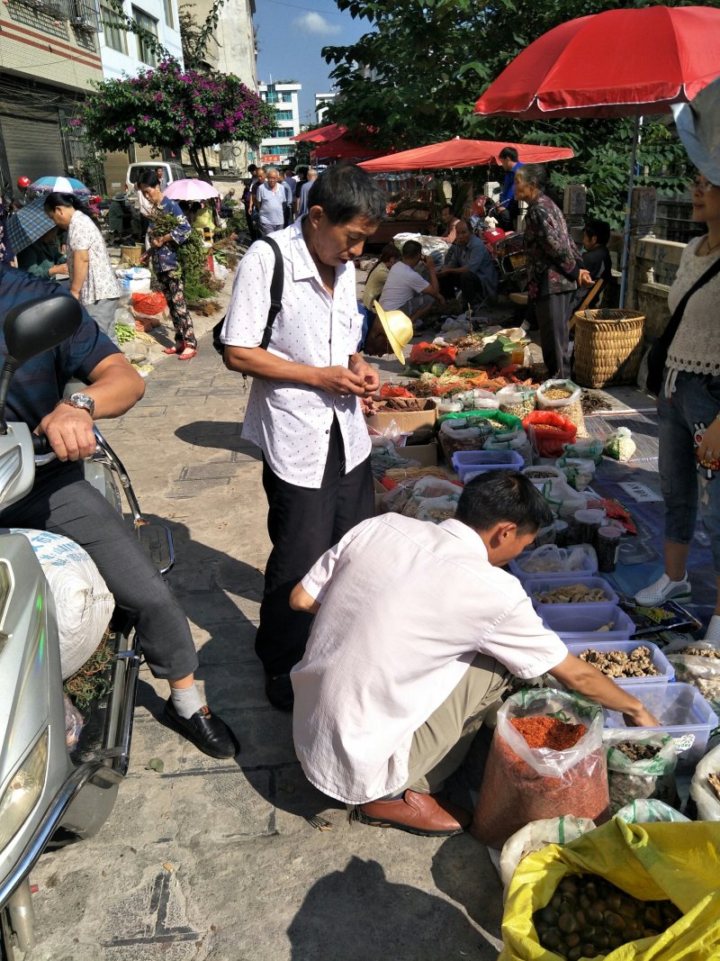 三叶青干货免费打粉送瓶子及勺子半斤起发货