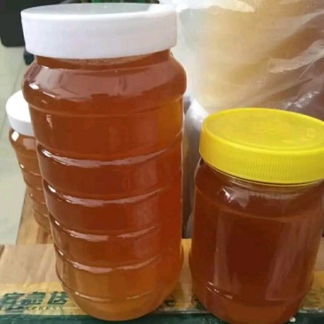 预售自产自销！天然蜂蜜，无添加更放心！