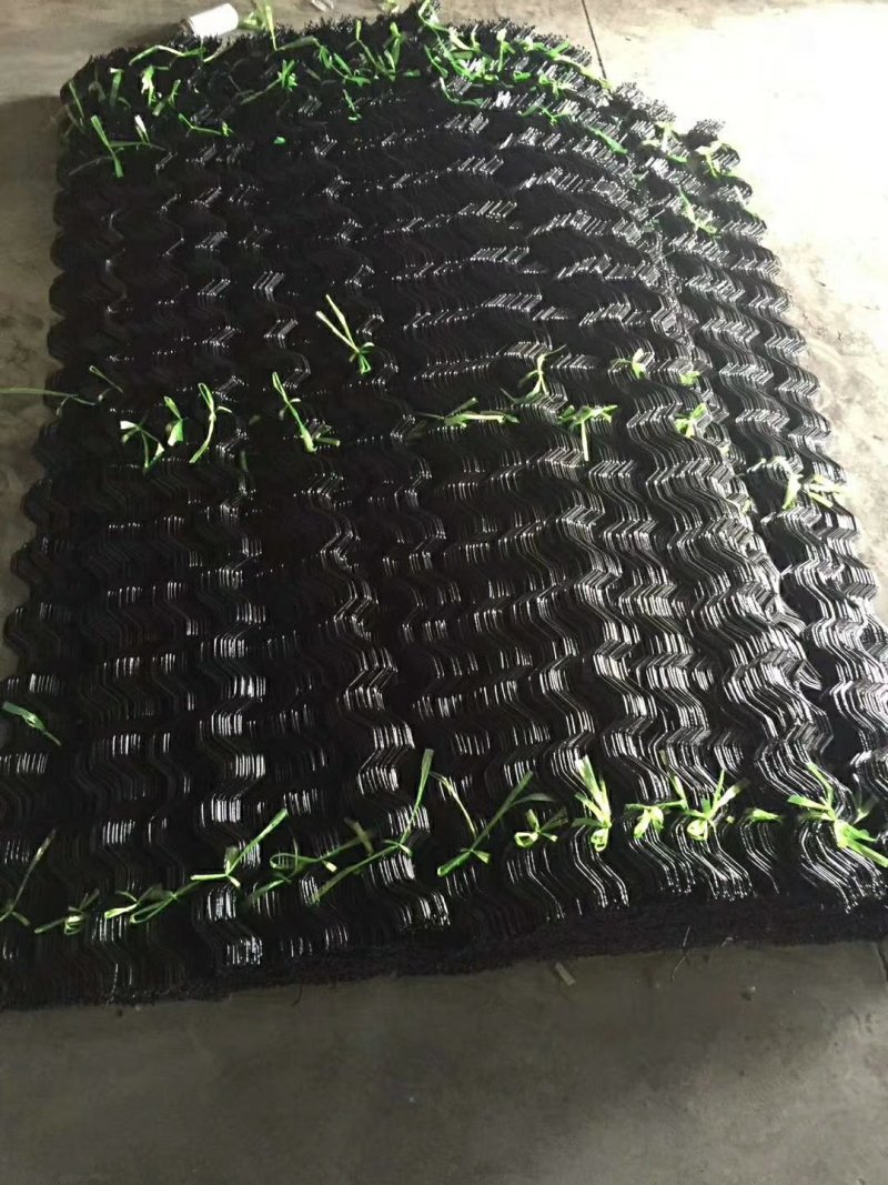 大棚卡簧浸塑卡簧压膜簧大棚防风卡簧