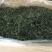 2019年蒲公英新茶二茬货