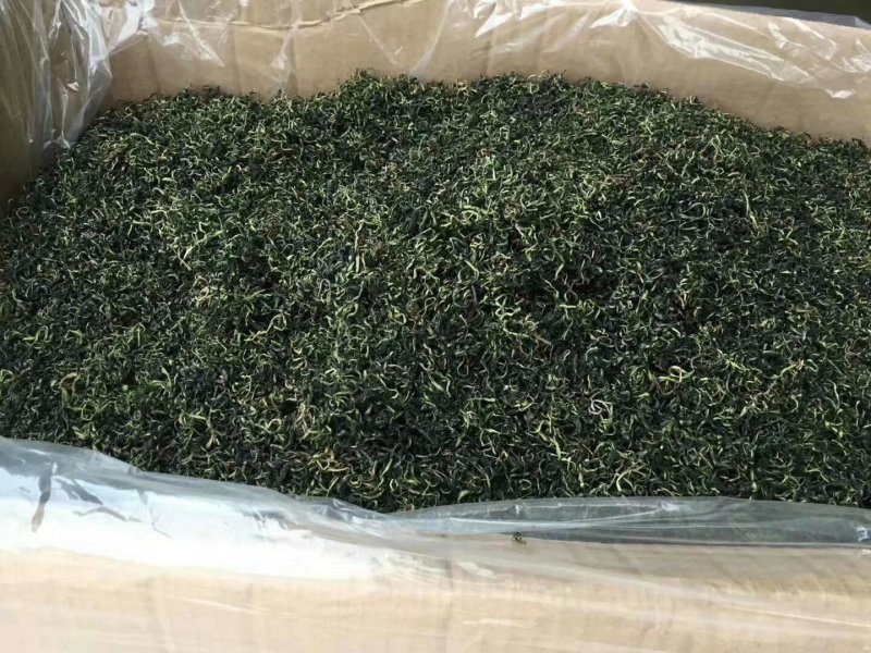 2019年蒲公英新茶二茬货