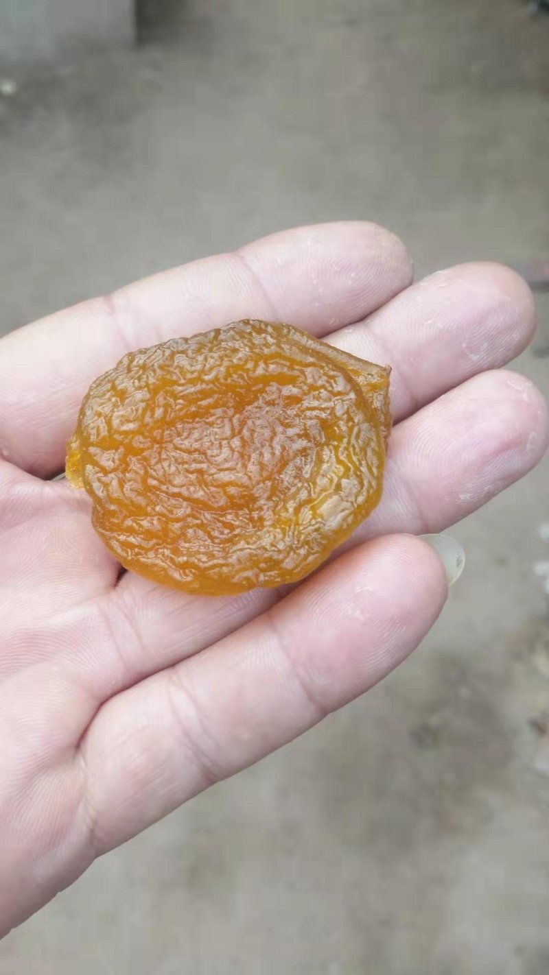 杏脯今年的鲜货