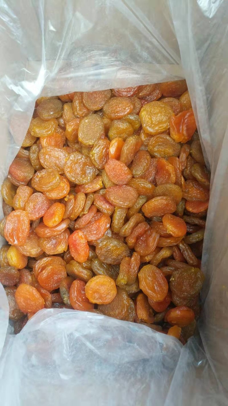 杏脯今年的鲜货