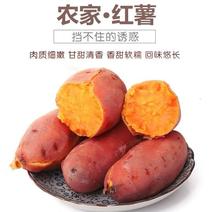 【特惠10斤】新鲜番薯沙地红薯蜜薯5斤2斤装黄心地瓜香薯