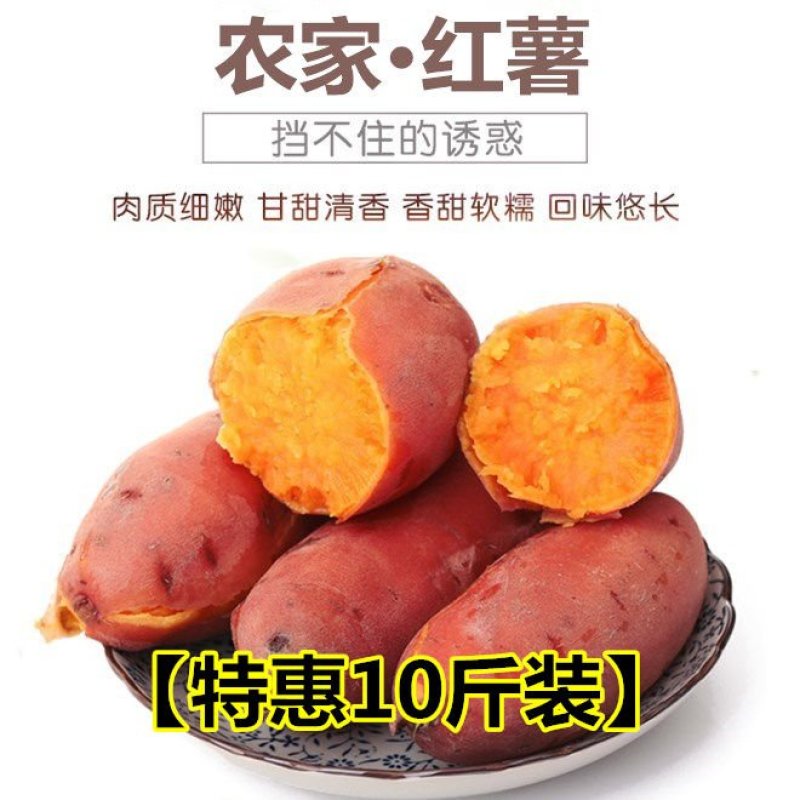 【特惠10斤】新鲜番薯沙地红薯蜜薯5斤2斤装黄心地瓜香薯