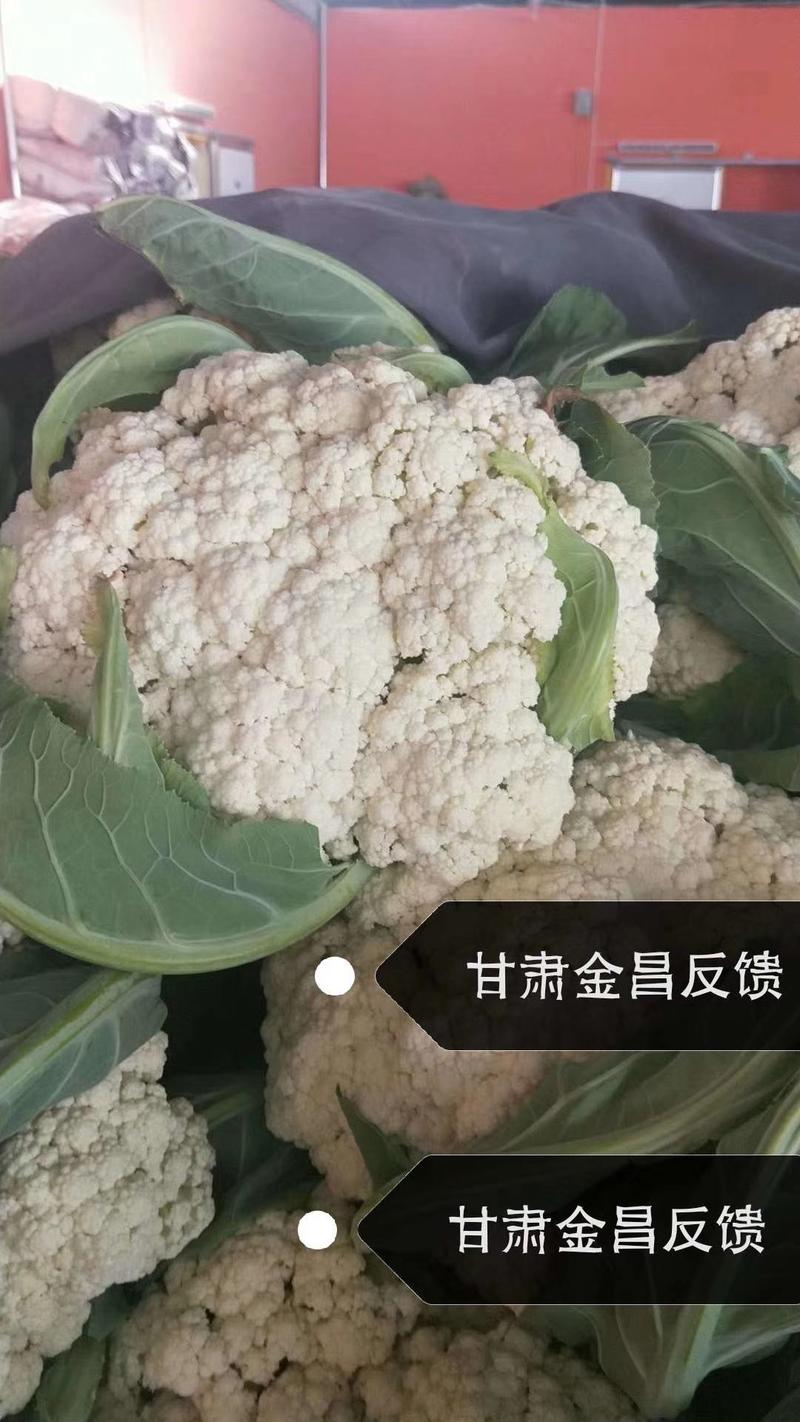 台湾花莲种子，松花菜种子，有机花菜绿梗白面花球雪白