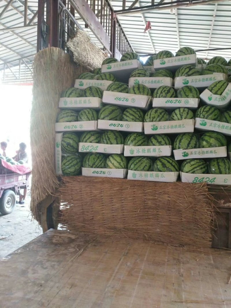河南开封西瓜大量供应质量保证诚信经营货源充足