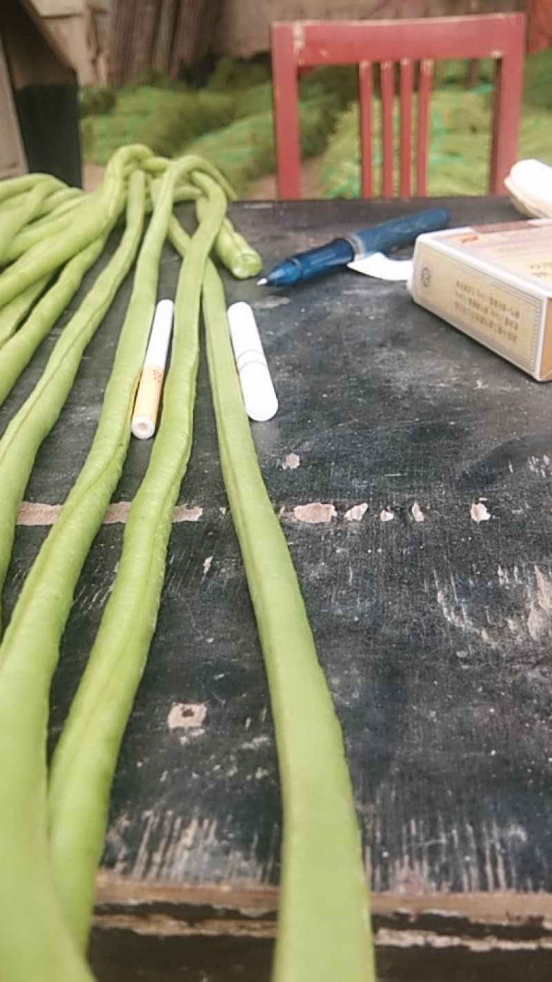 【长豆角】豇豆，可加长途发货。可本地腌制。保证质量