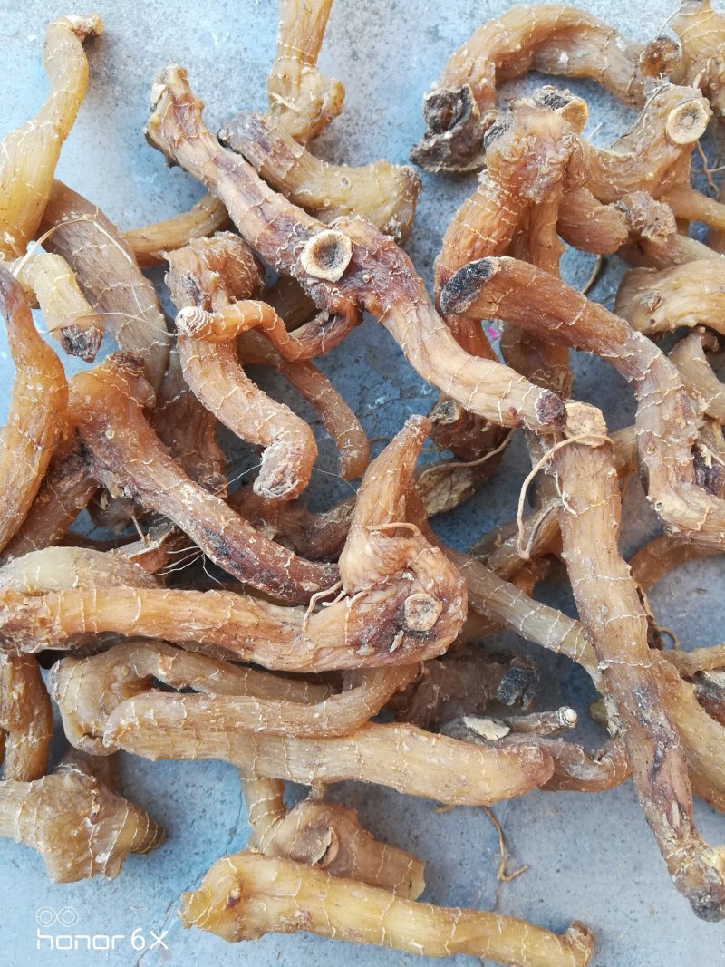 鸡头黄精黄精中药材黄精