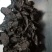 黄精黄精片中药材批发零售各种规格中药材