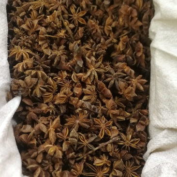 八角香料大货批发一手货源