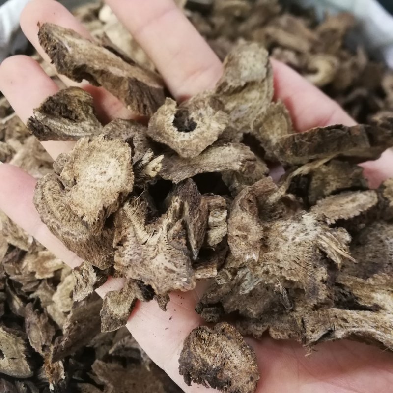 木香中药材木香大货批发