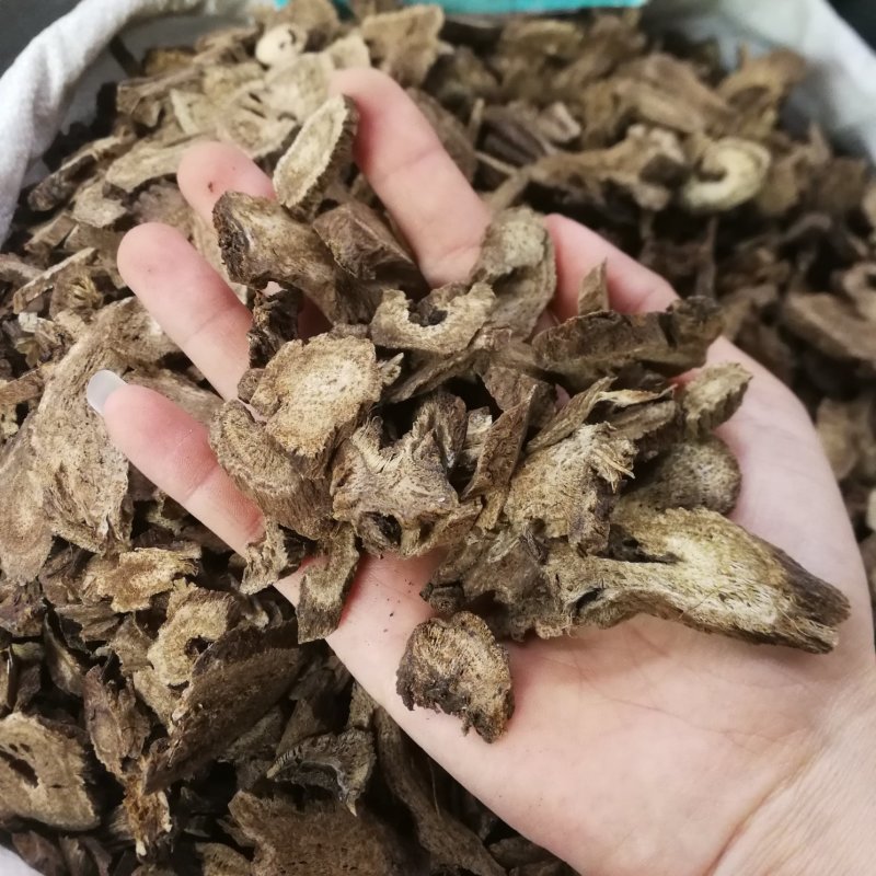 木香中药材木香大货批发